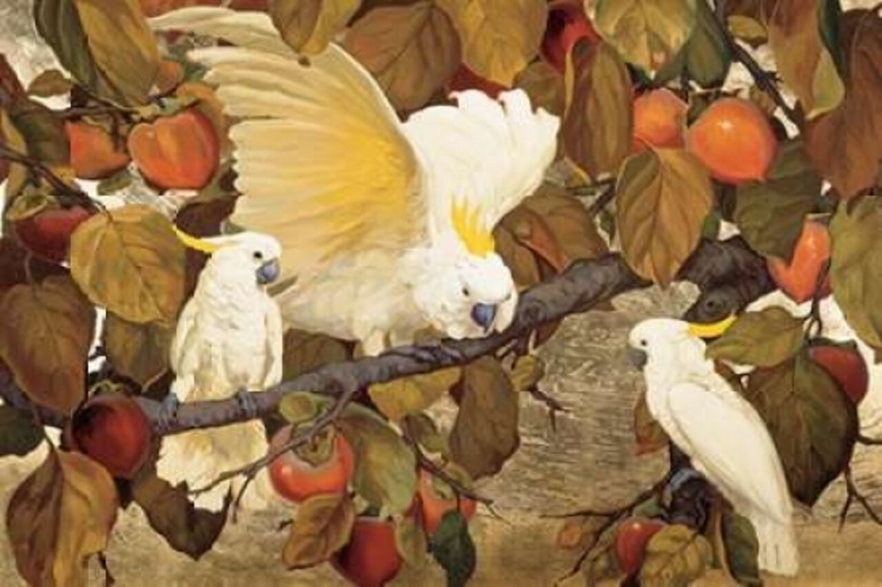 Persimmons and Cockatoos Poster Print by Jesse Arms Botke - Item # VARPDXCC3313